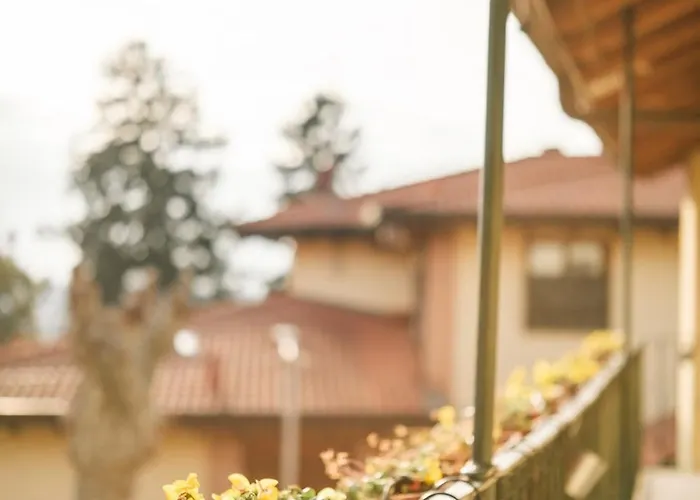 Отель Dell'oca Bianca